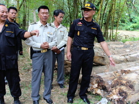 Phuket govt moves to retake stolen forests