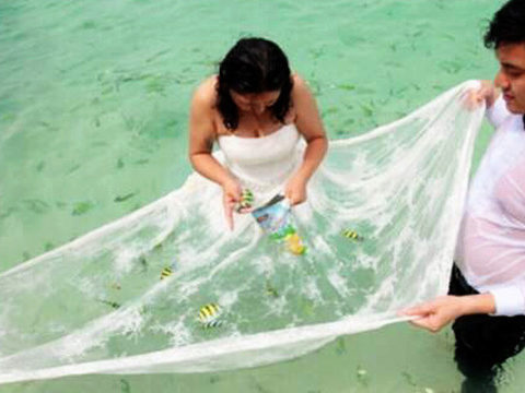 Phuket parks chief mulls rules for bridal photoshoots