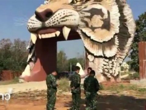 Inspectors find all is well at tiger temple