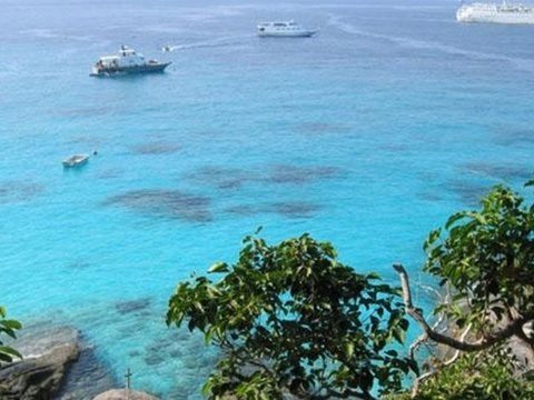 Expert raises alarm over Similan marine damage