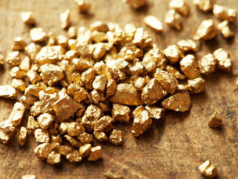 Poop contains gold worth millions: study