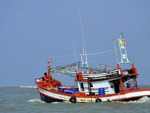 Andaman Sea closed off from April to June to allow marine life to grow