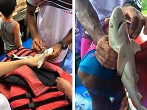 Shark-petting pix near Phuket spark Net outrage