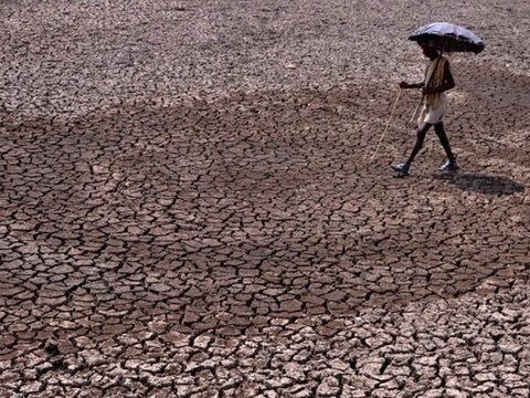 India heatwave kills 800 as capitals roads melt