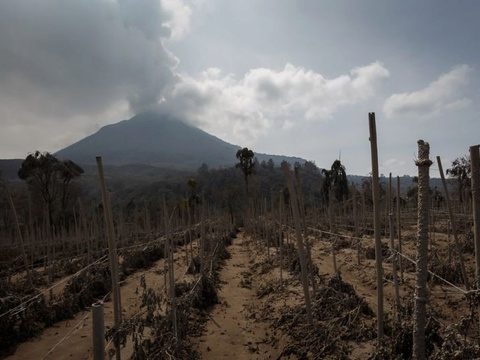 Thousands evacuated as large volcano in North Sumatra shows signs of big eruption