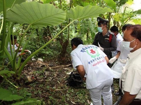 Decomposed corpse found on hill near Patong could be tourist: authorities