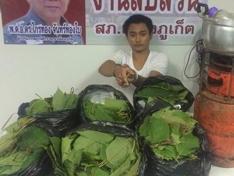 Phuket man arrested for possessing kratom